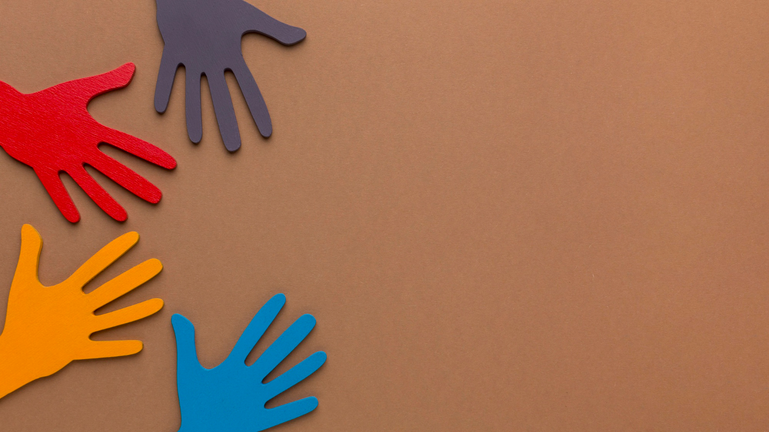 Background of partner organizations